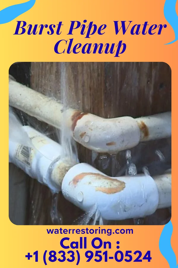 Burst Pipe Water Cleanup in Norris, IL