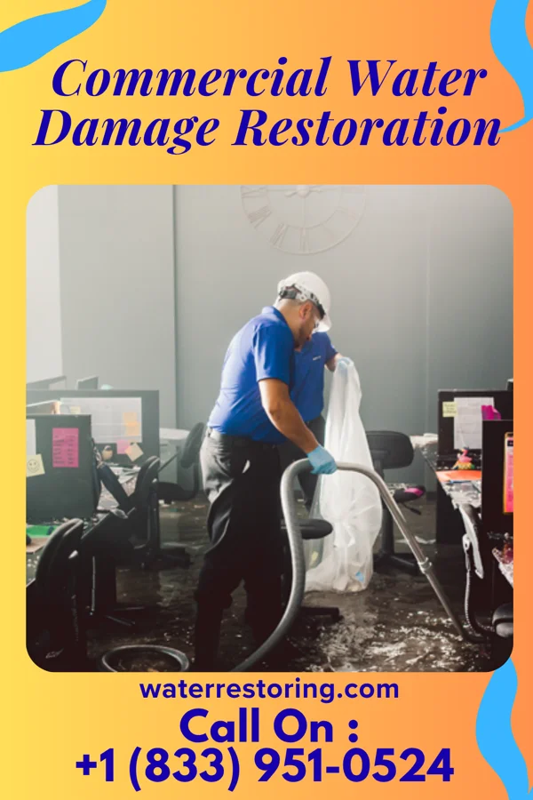 Commercial Water Damage Restoration in Norris, IL